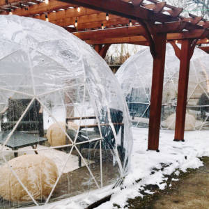 Igloo_Logan_Square Igloo at La Boulangerie Logan Square